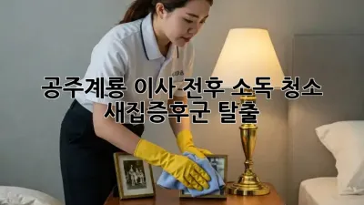공주/계룡 이사 전후 소독 청소 ✨ 새집증후군 탈출!